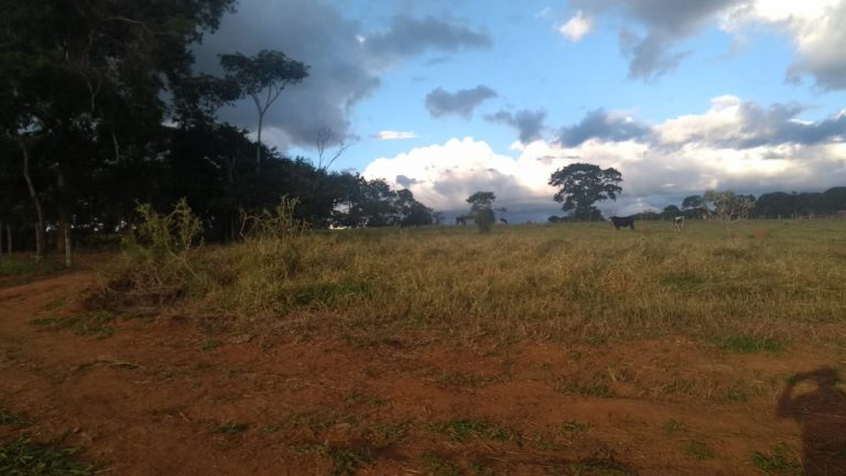 Chácaras Recanto da Serra, 3200m2 a 5200m2, Nova Veneza