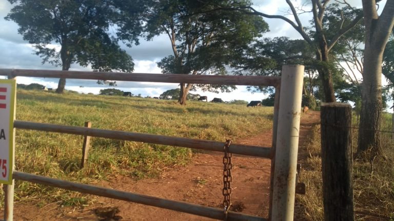Chácaras Recanto da Serra, 3200m2 a 5200m2, Nova Veneza